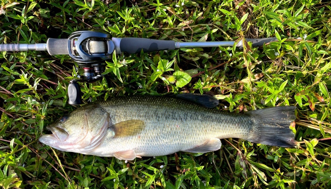 ドットスリーを堪能する(^^) ハートランド 832MSB-SV AGS21