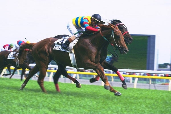 アグネスフライト逝去 2000年日本ダービー馬 | 毎日が一口馬主！