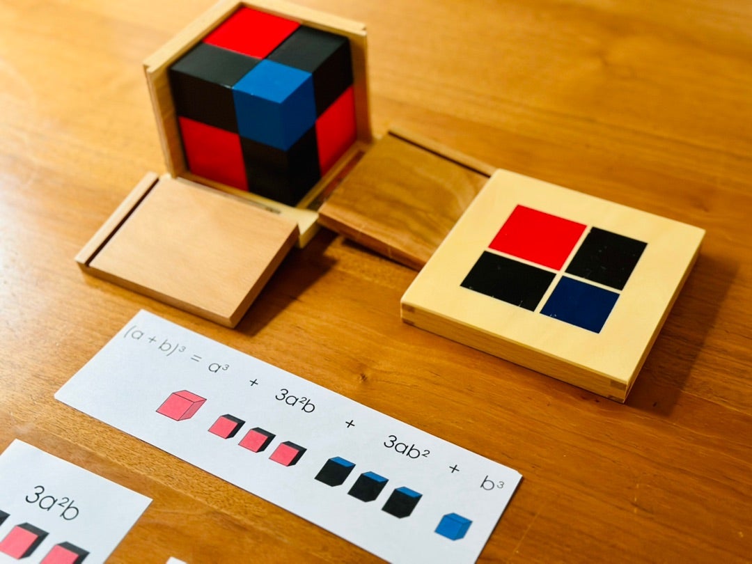 モンテッソーリ・算数教育「幼児期のパズルから二項式の代数化へ