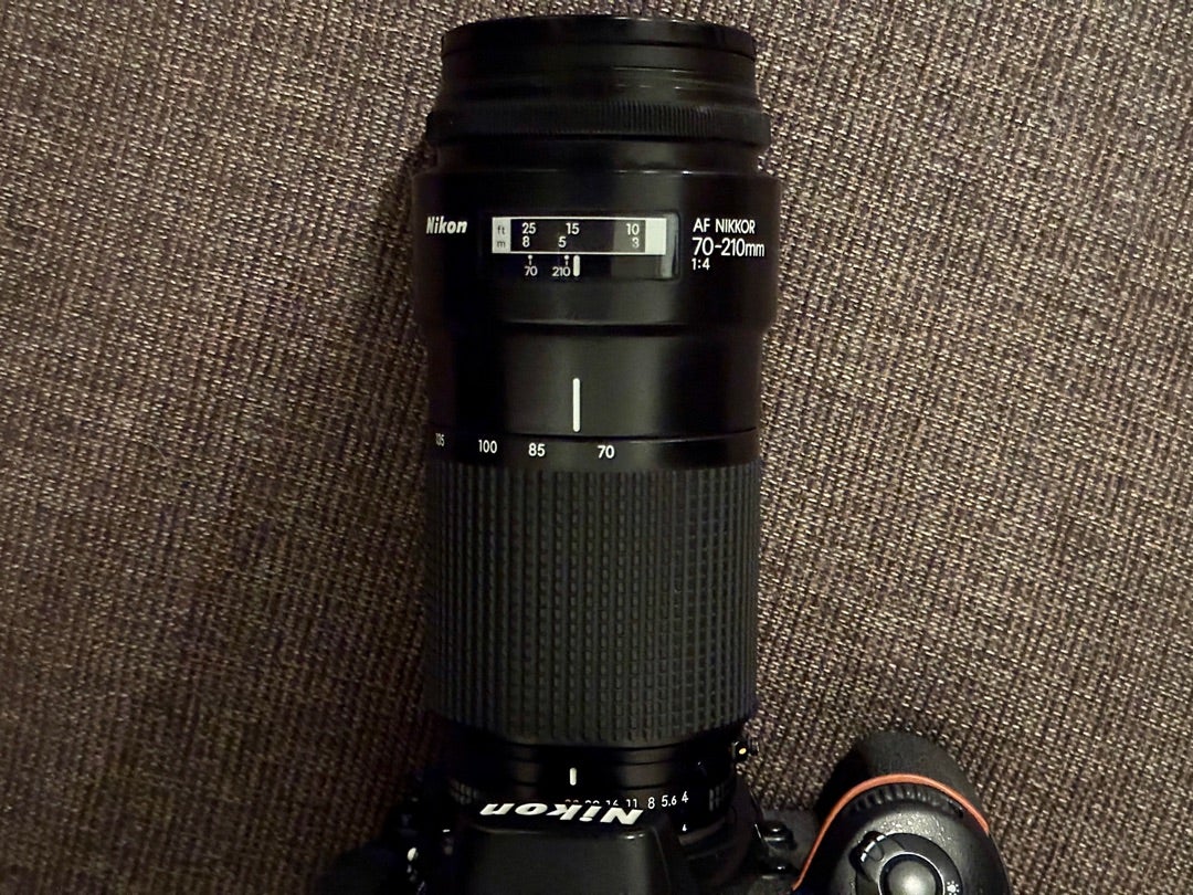 Nikon AF NIKKOR 70-210mm f4でスナップ | ほぼジャンクな機材でお送り