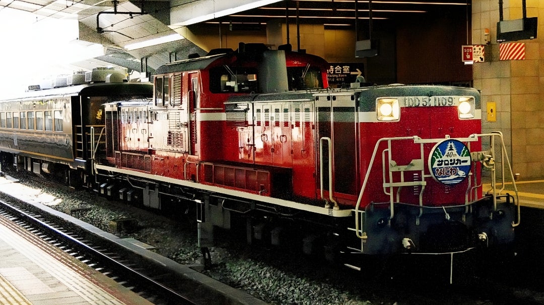 サロンカーなにわ 40周年記念号 / 40年の生誕祭 | 安芸もみじ