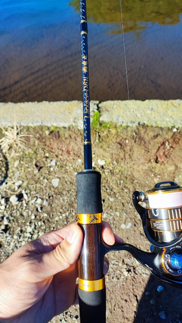 ラプラスD 61L 戦鬼丸 | ミノーの貴公子 うえまんJAPAN