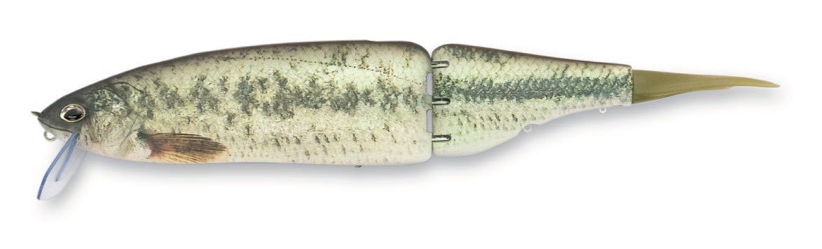 KLASH FRENZYに新色が登場 | 石井館長のバス魂