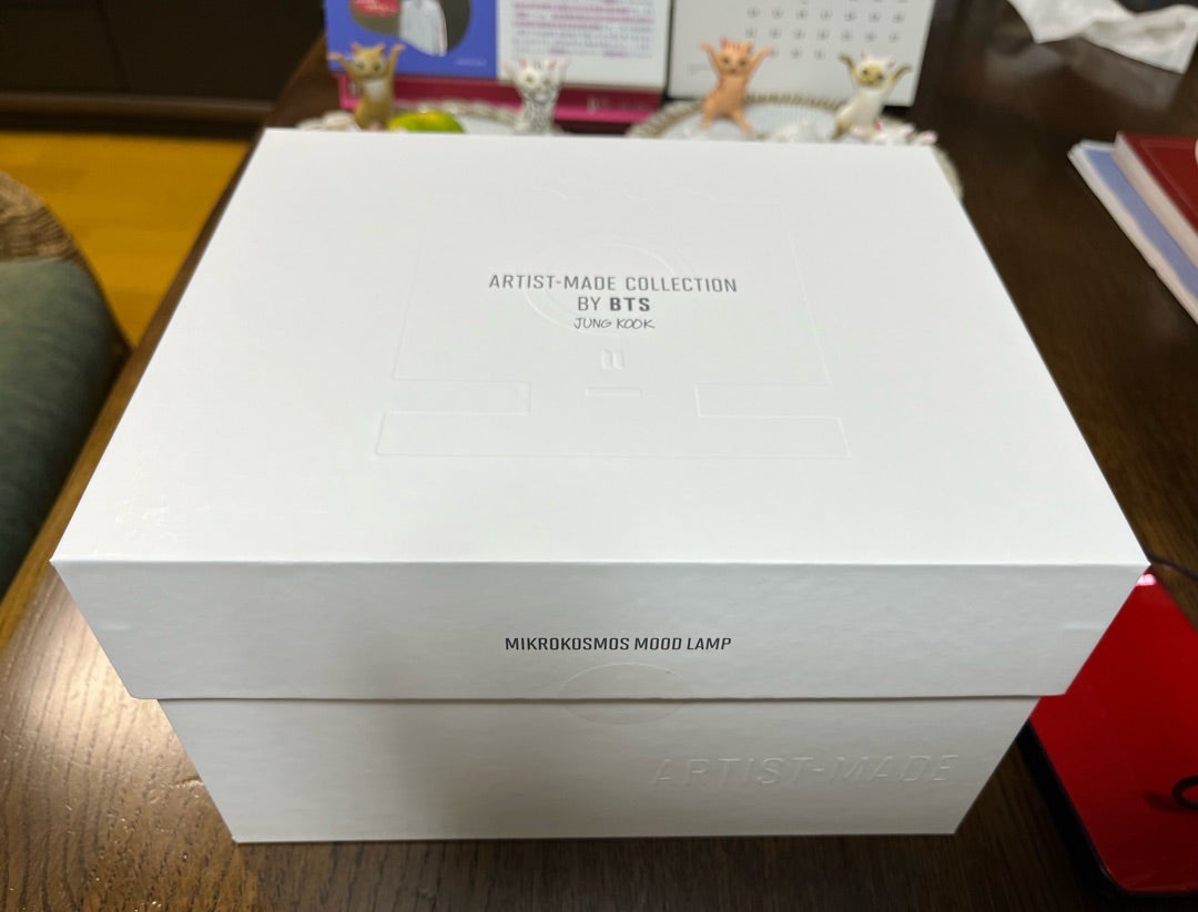 2人の旅、そして、遂に来たムードランプ | Singapore Chickenrice