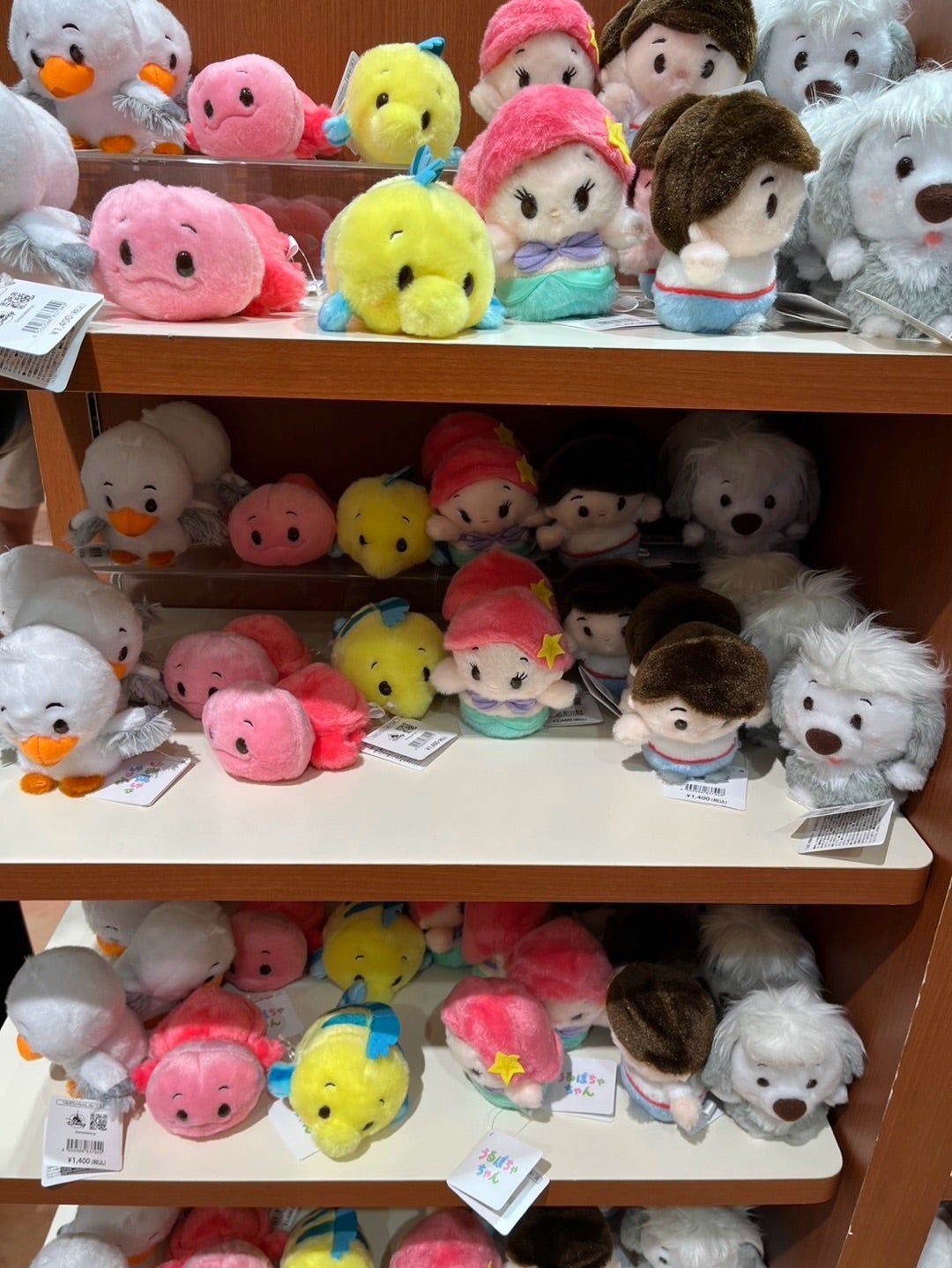 ディズニーストアのリトルマーメイドうるぽちゃちゃん | コーデリアの