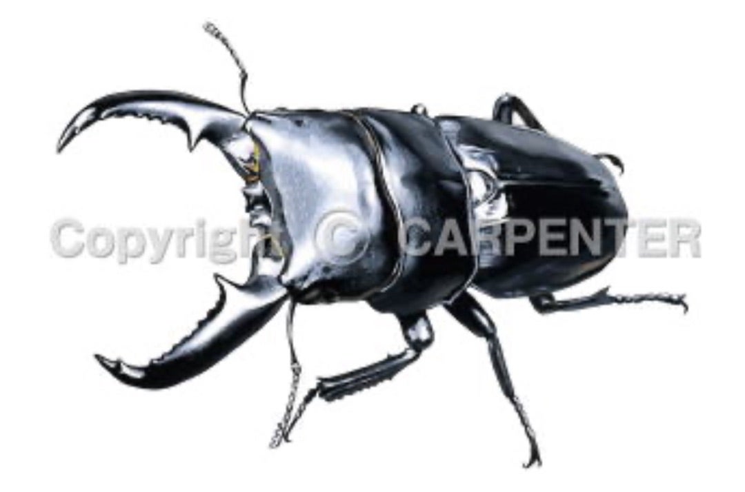 ガンマ160H （ガンマ20周年記念ルアー） | カーペンタールアー、ロッド