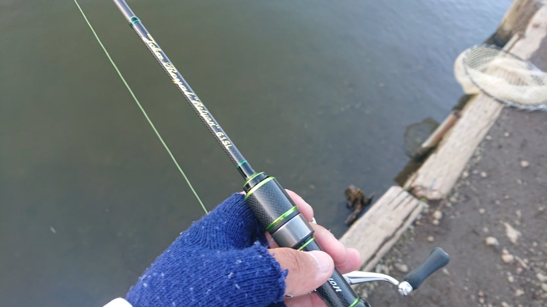 超個人的なロッドインプレッション オフィスユーカリ ジョーカー