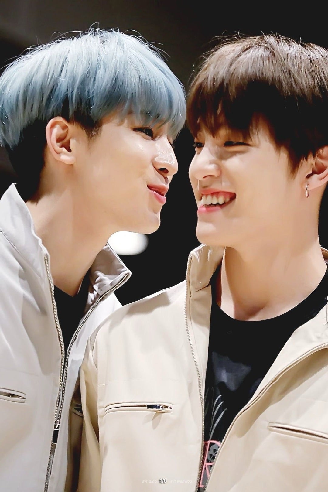 気づけばウォヌちゃんはディノを見つめている話。 | セブチこと