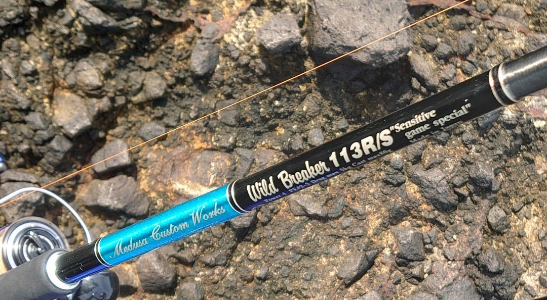 ワイルドブレーカー113r/sのインプレ | west-beachの趣味ログ