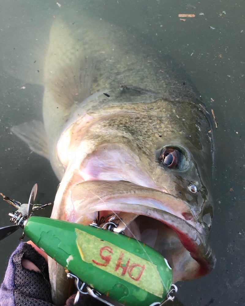 ウォブンロール66ML+M ご予約承り♪ ヤマト屋オリジナル真っ黒スレッド