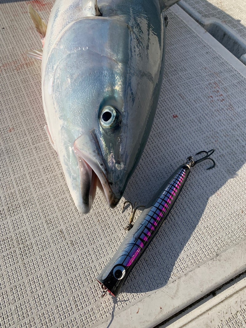 ガラム220m-120g | カーペンタールアー、ロッド研究室