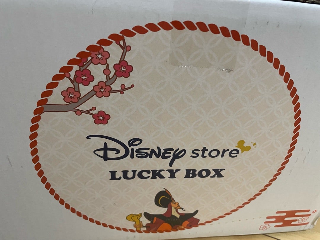 ディズニーストア ラッキーボックス いざ！開封 | あみママのおうち