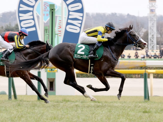 マスカレードボール 日本ダービー出走！大外枠は影響するのか