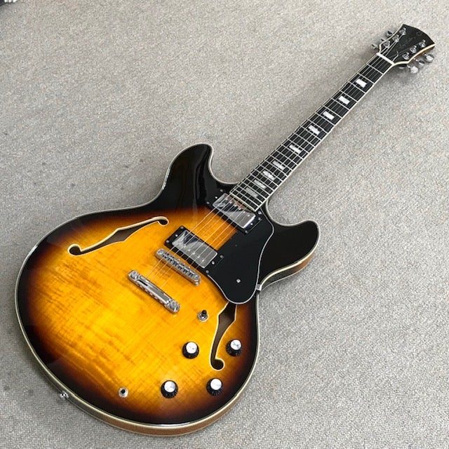 セミホロウボディのエレキは良いですよ！ | 有村宏一の音楽ブログ