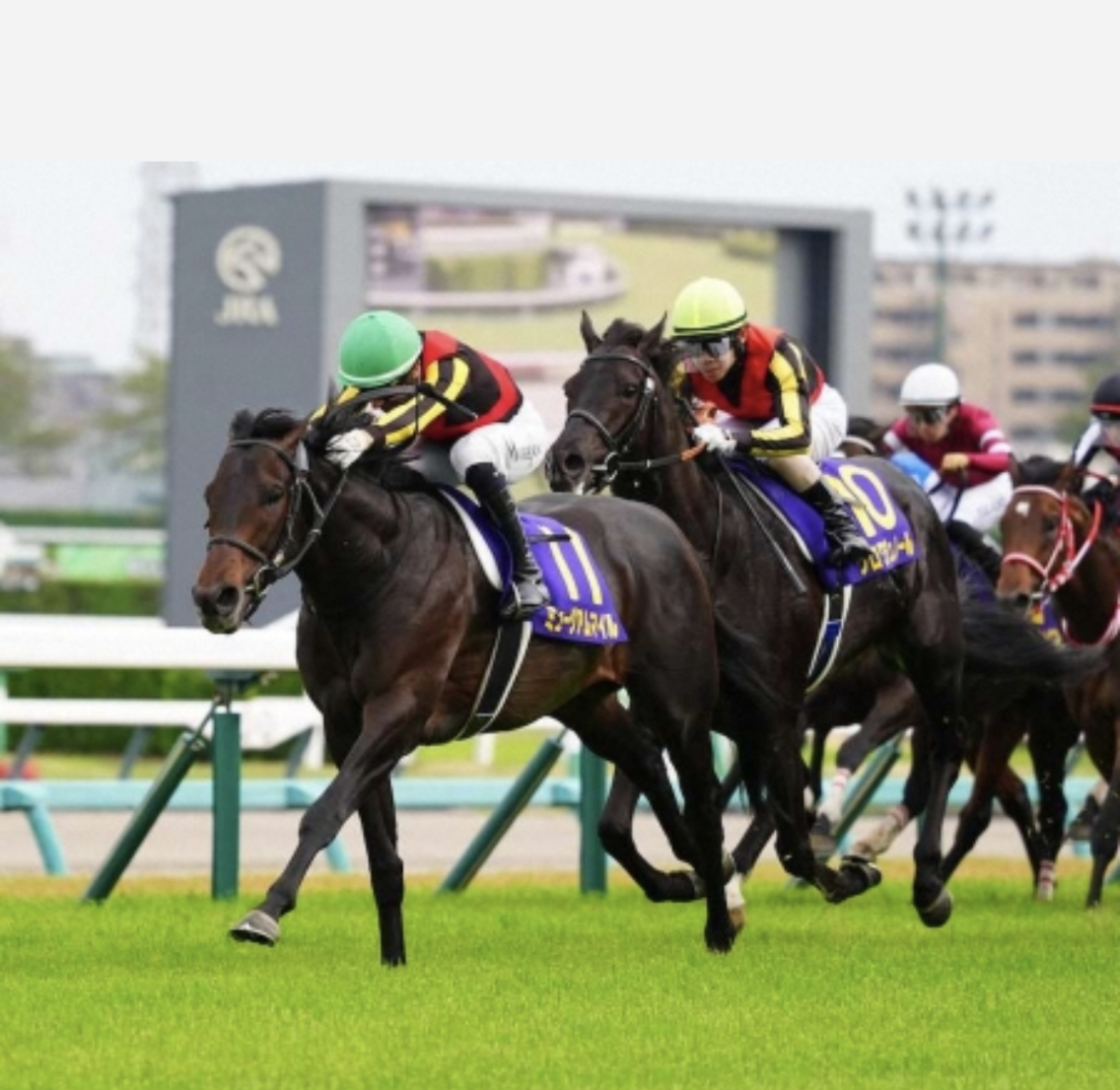 続・クロワデュノールはイクイノックスになれるか？ | 理系女子の難関