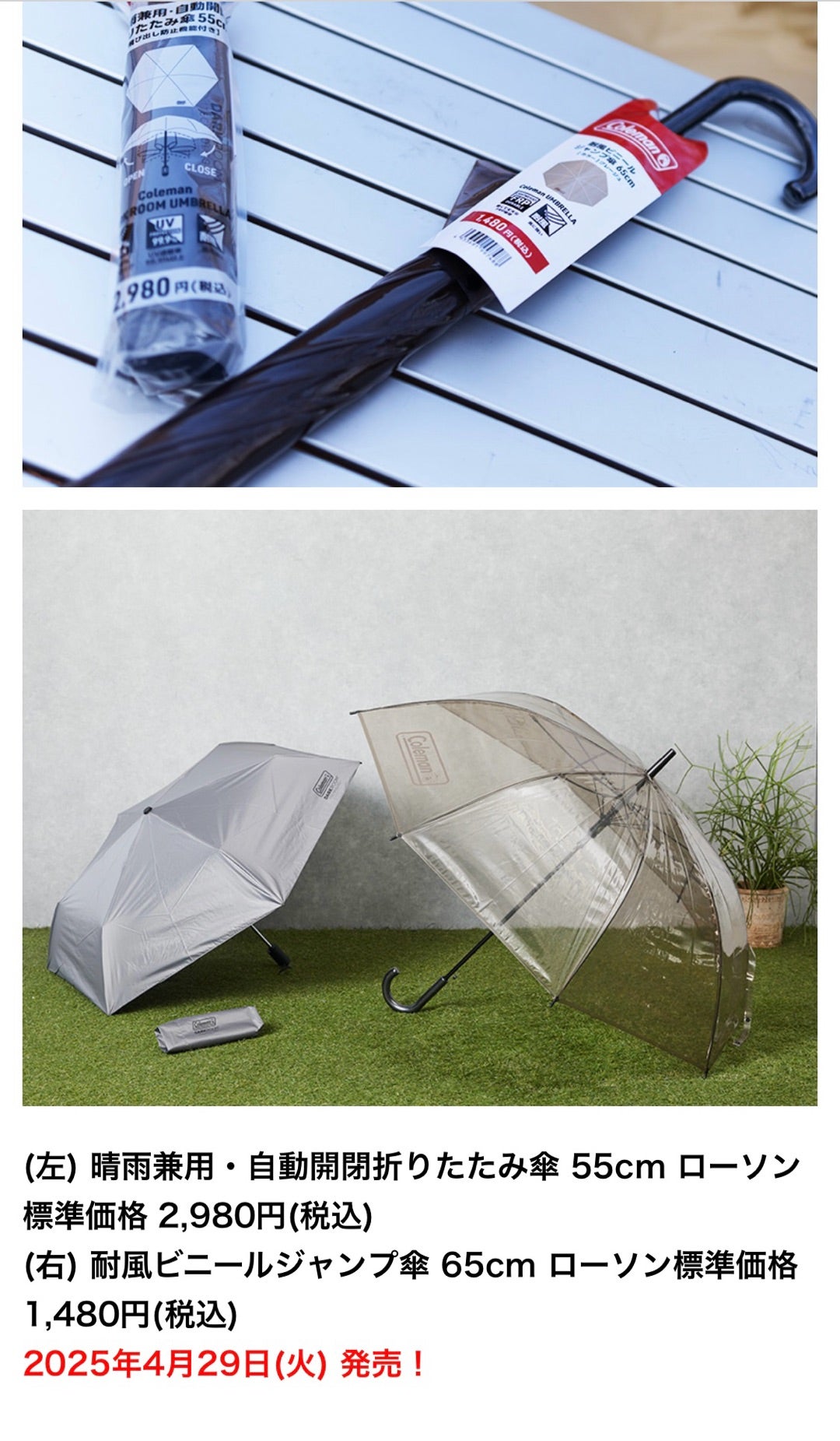 コールマンの傘 | logcampのブログ