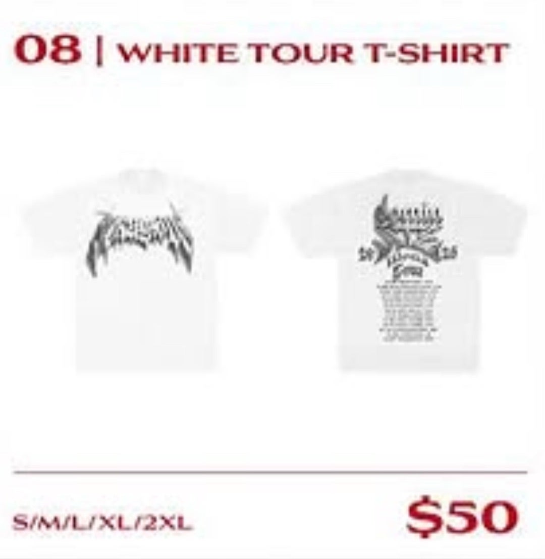 スキズ北米ツアーのMDが羨ましい・dominATE USグッズ一覧 | 청사진