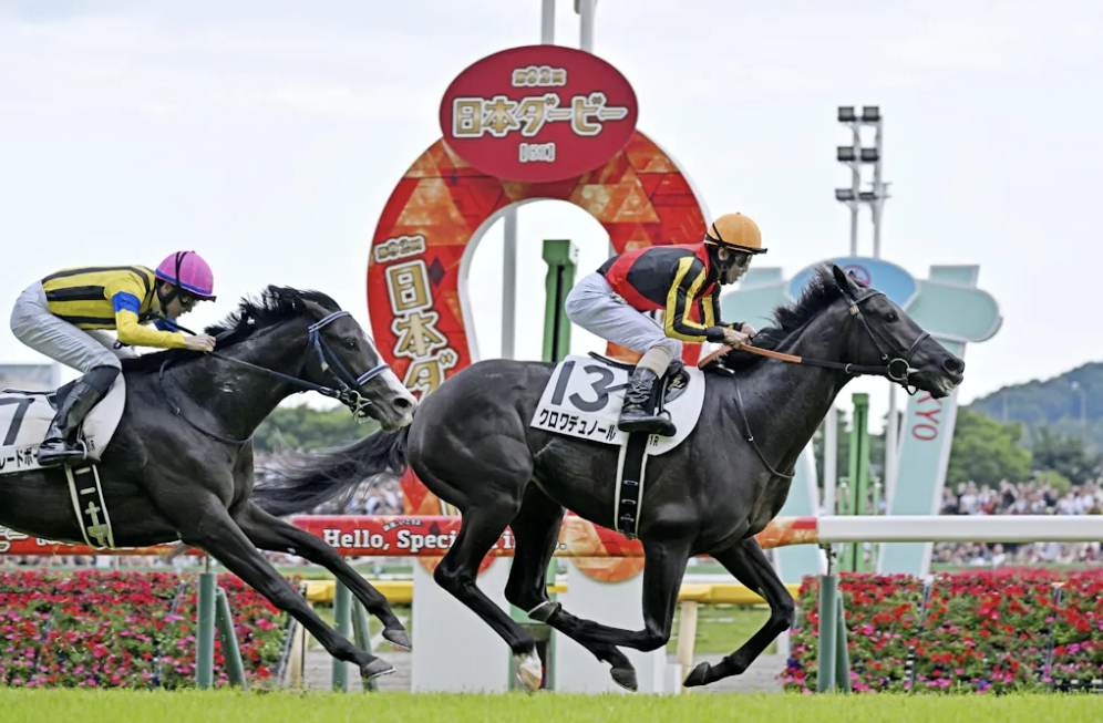 続・クロワデュノールはイクイノックスになれるか？ | 理系女子の難関