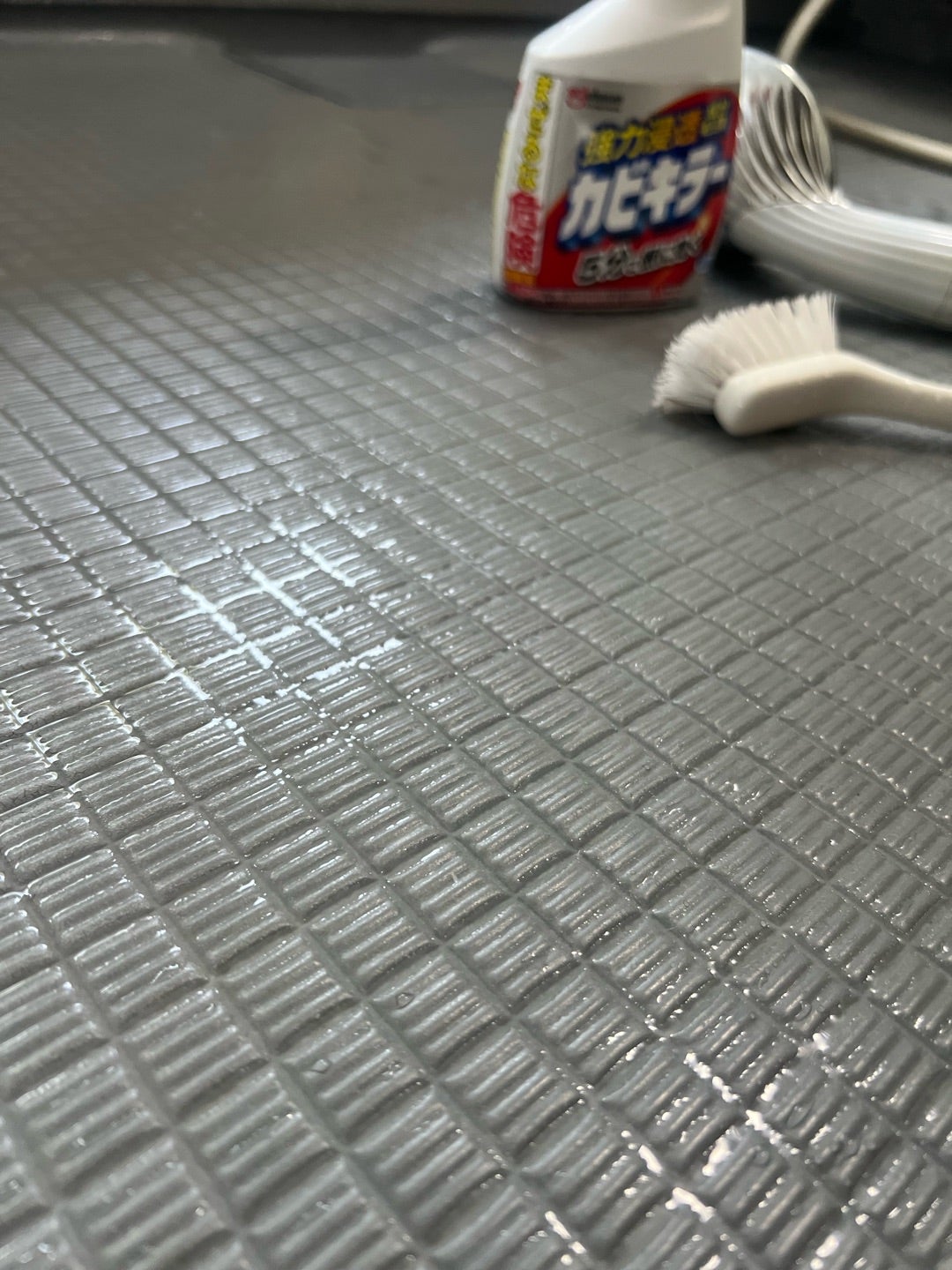 マロ断捨離中(*´︶`*)ฅ♡★ ついに捨てた…ボロボロになった家具の断捨離、一部始終を大公開