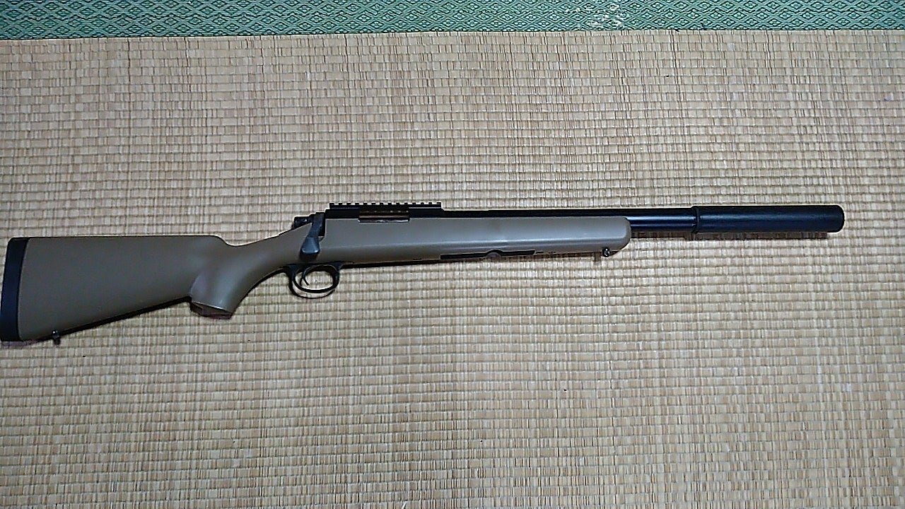 相変らずVSR-10のカスタムもやってますが 溜まり過ぎたので考え中 | Q