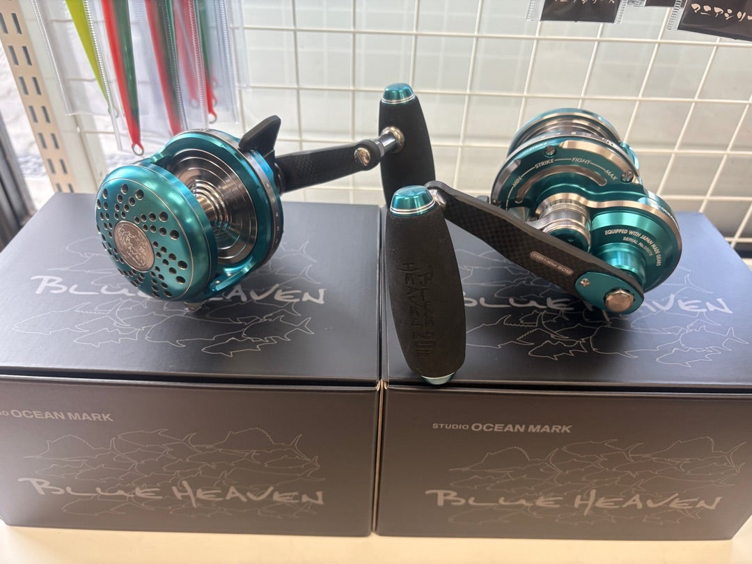 入荷案内】ブルーヘブンL80 20周年特別限定モデルは買いか