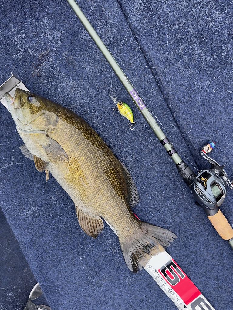 ダートマックスTR 40g－BK♪ | 四国中央市 ヤマト屋店長ブログ