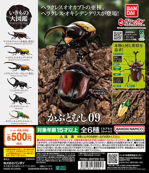 いきもの大図鑑 かぶとむし カプセルトイ | パワースポット☆神社の
