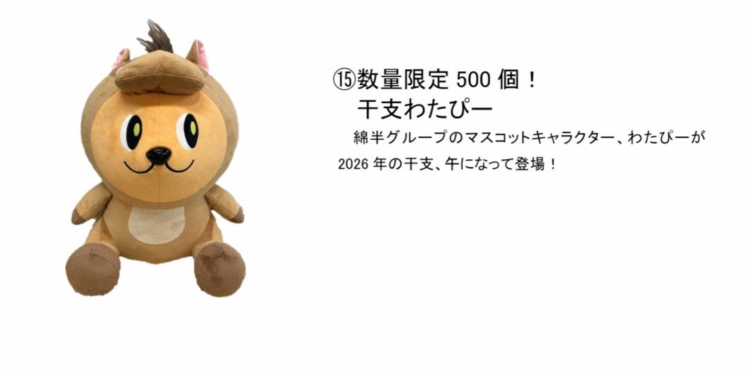ついに来年の干支わたぴーのフォルムが明らかに！(綿半HDの株主優待)＋