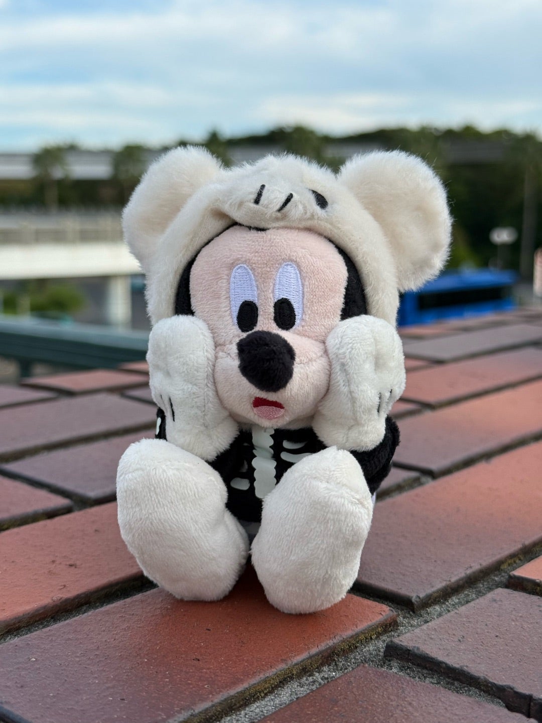 すごい人気だった仮装ミッキーぬいぐるみキーチェーン | ☆やまあこ