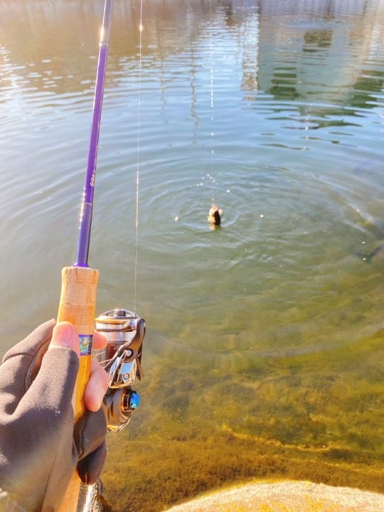 エリアトラウト】冬はブルーウルフ！ | FG☆そうたの新・ズッコケ釣浪記