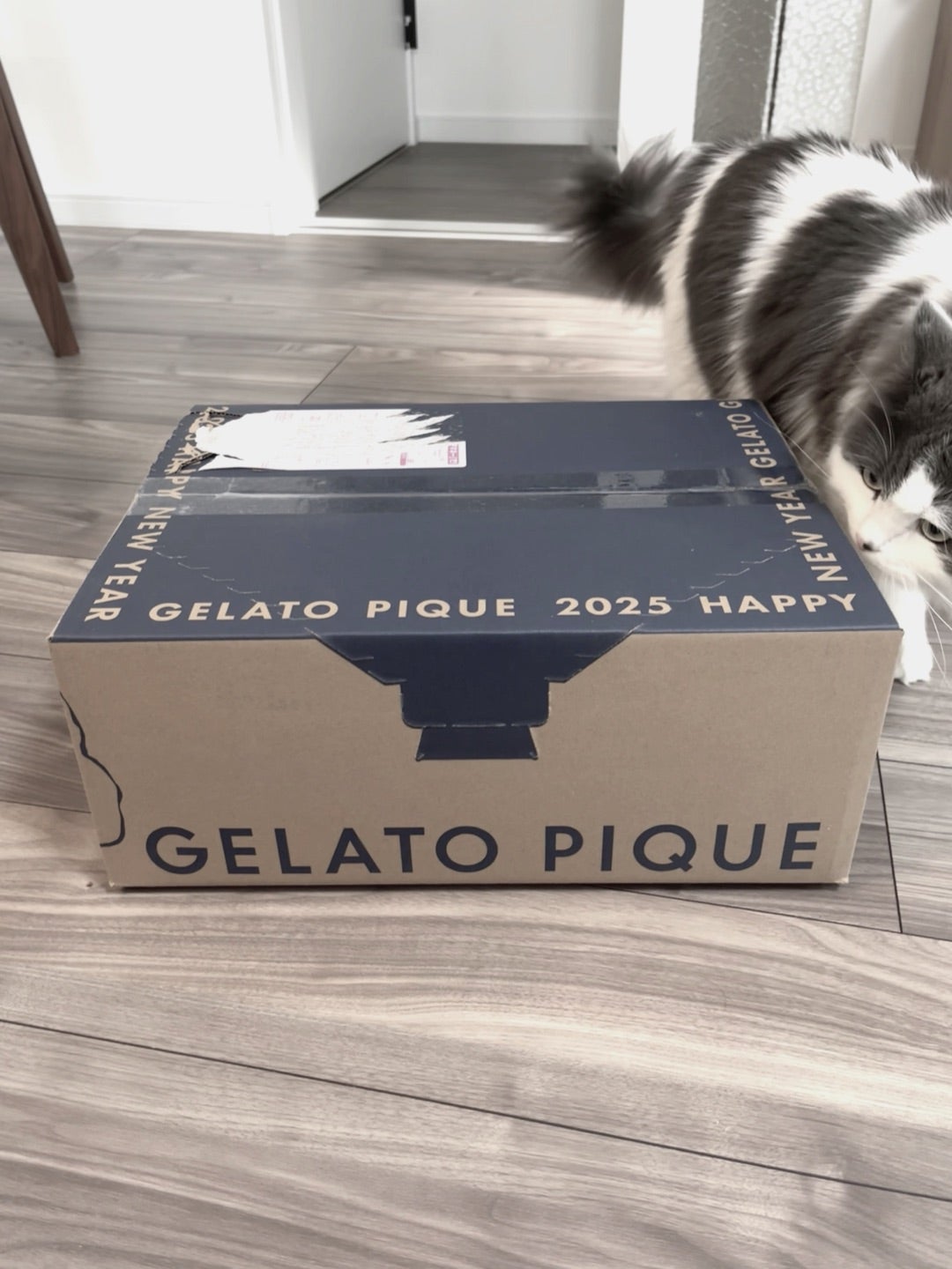 抜き取りなし　ジェラートピケ HAPPY BOX 2025 ジェラピケ　福袋　B GELATO PIQUE(ジェラートピケ) 福袋開封 HAPPY BOX 2025] ピンクの