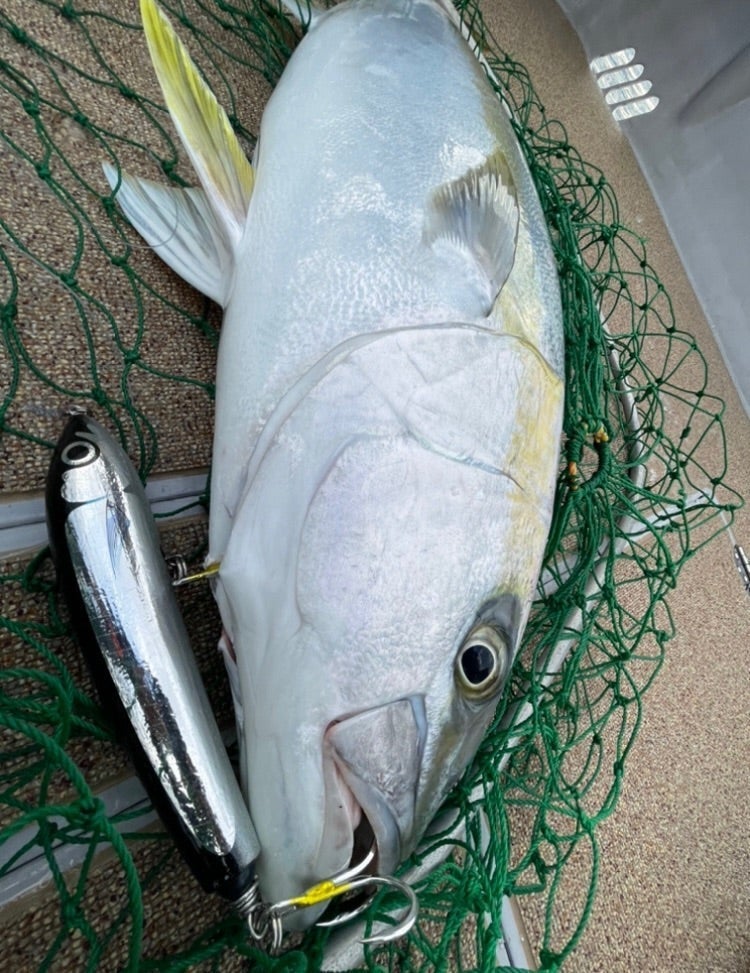 BF（ブルーフィッシュ） NB 説明 | カーペンタールアー、ロッド研究室