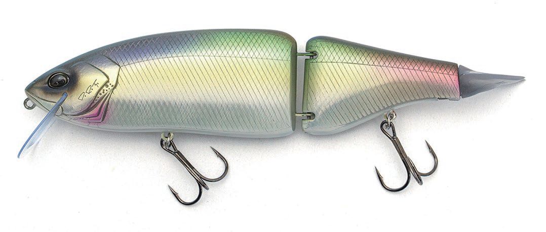 K9 NEW COLOR | 石井館長のバス魂