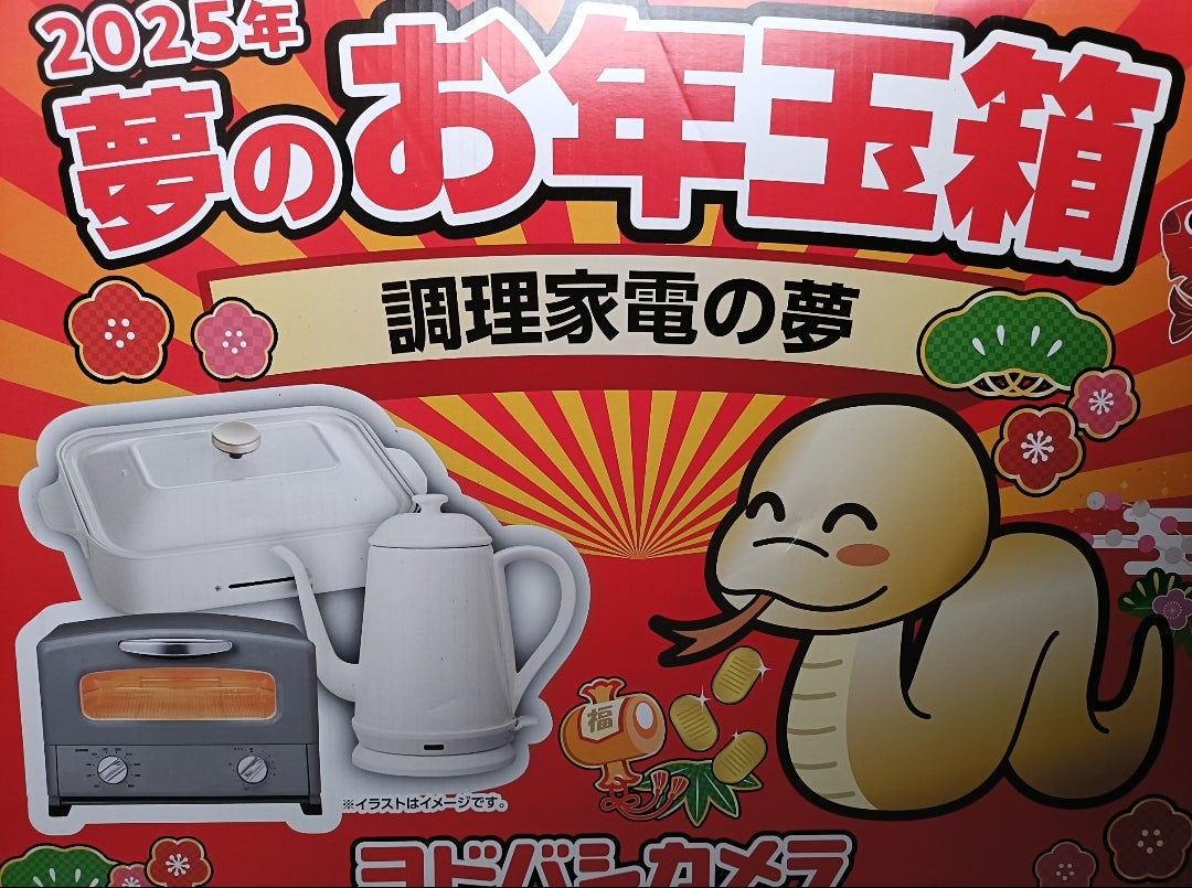 節約主婦 ヨドバシカメラ 夢のお年玉箱当選 | ゆるりと、暮らす。