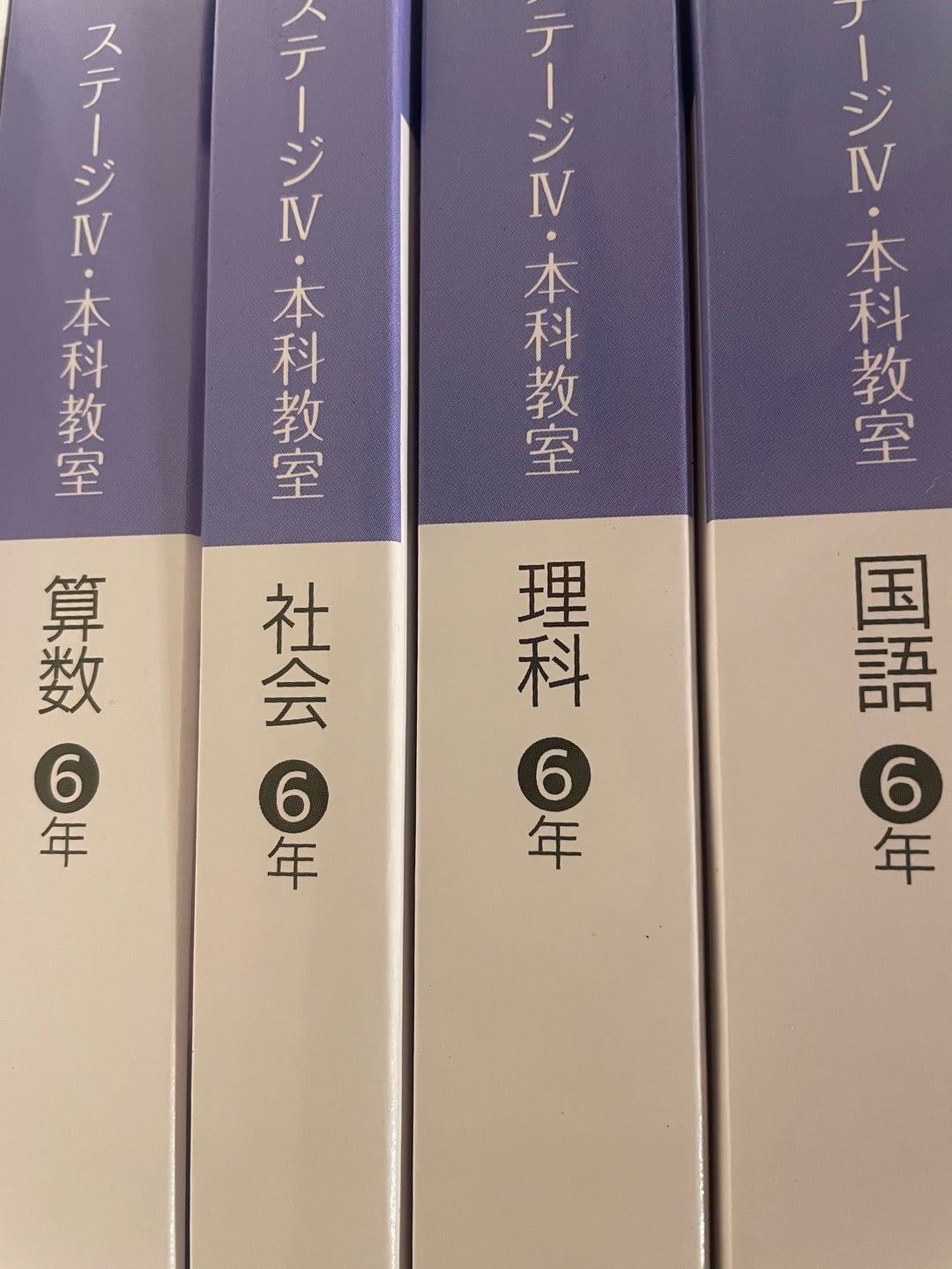 日能研】1/17 思考力育成テスト 自己採点と新6年に向けて | その日の話