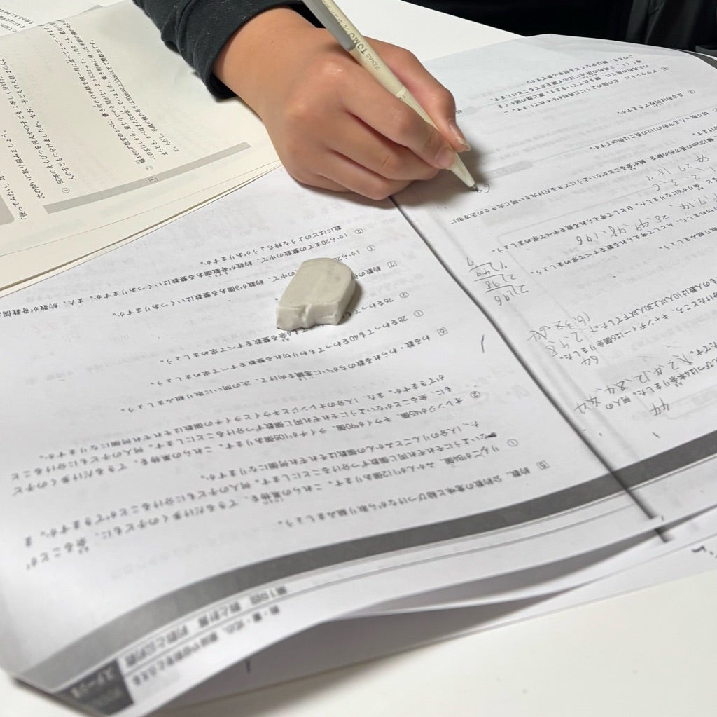 日能研】新5年次男：2/21 育成テスト結果 | 教育費貧乏☆庶民だけど