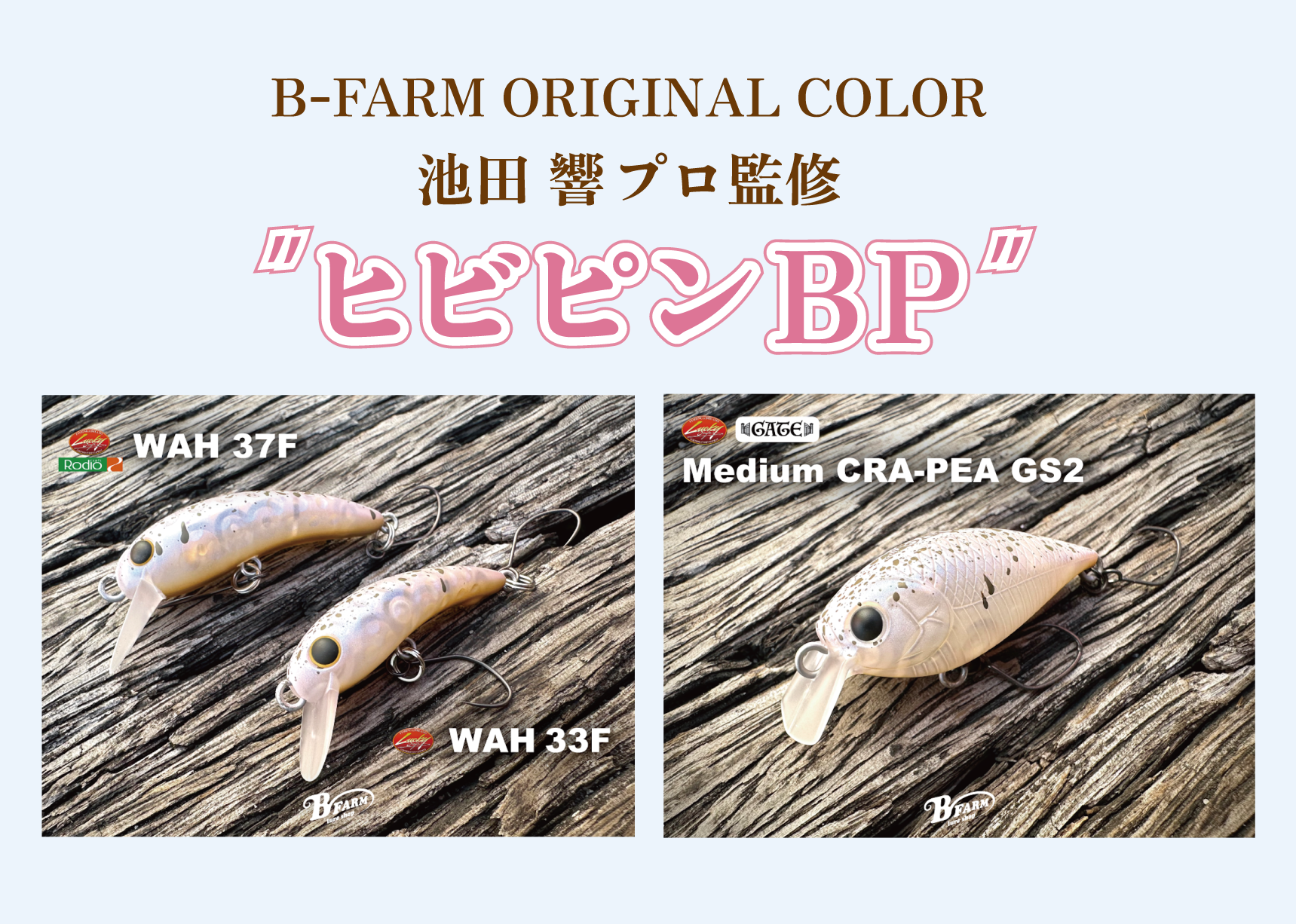 オリカラプラグ 本日より販売開始！ | B-FARM Blog