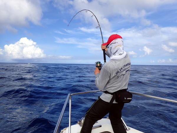 歌姫 LM-Lタイプ | カーペンタールアー、ロッド研究室