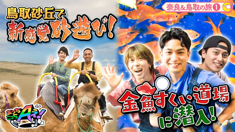 あっちこっちAぇ! 6月7日(土)放送分 奈良の正門・末澤・小島は金魚