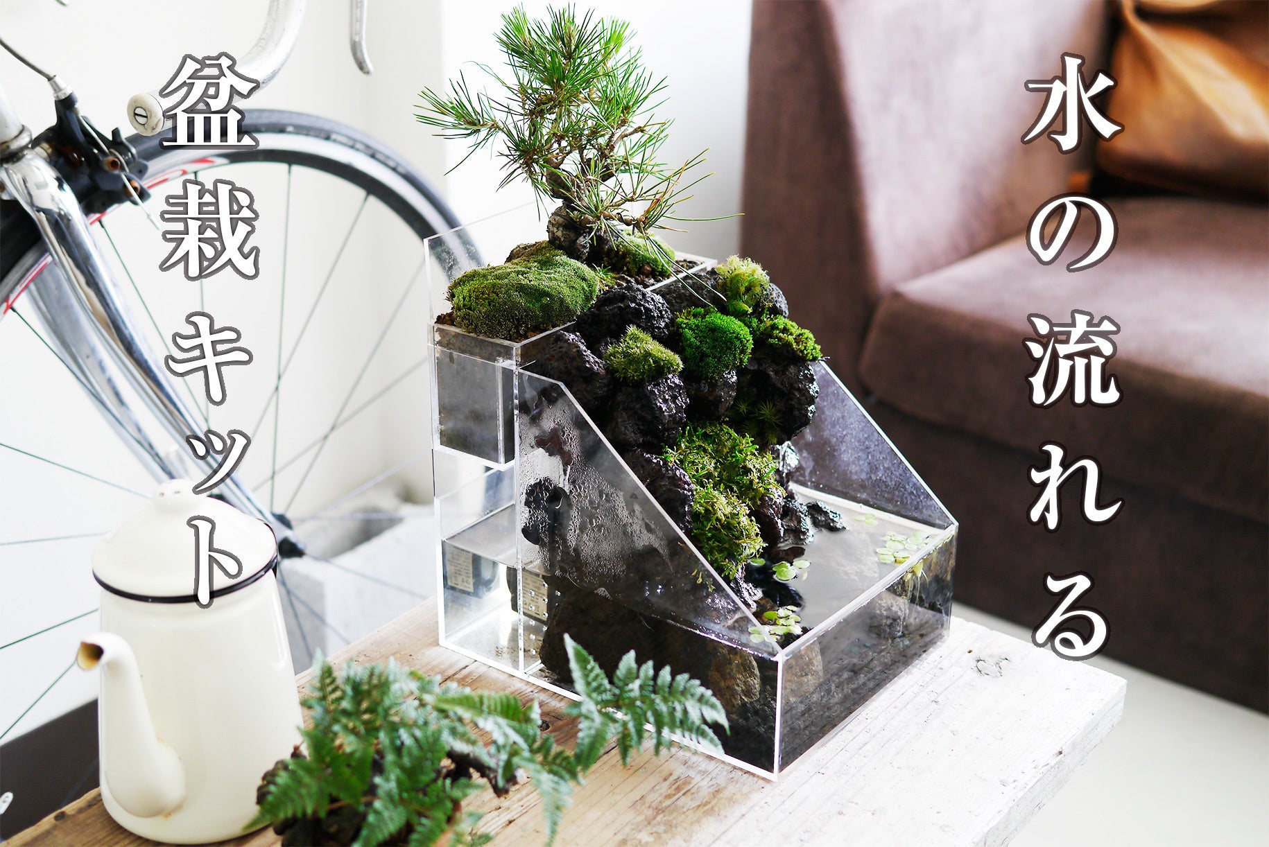 _1120871resize_caption.jpg?fit