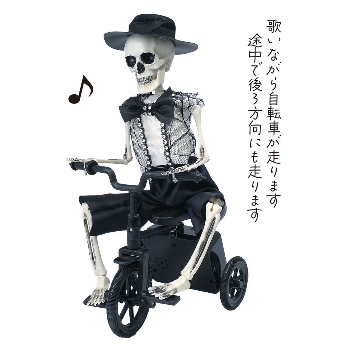 GREENHOUSE/HWホラーシリーズ ガイコツサイクリング/HW674 - 花材通販