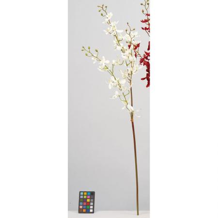 造花】アスカ/ミニオーキッド×32 つぼみ×13 ホワイト/A-34545-1 - 花材