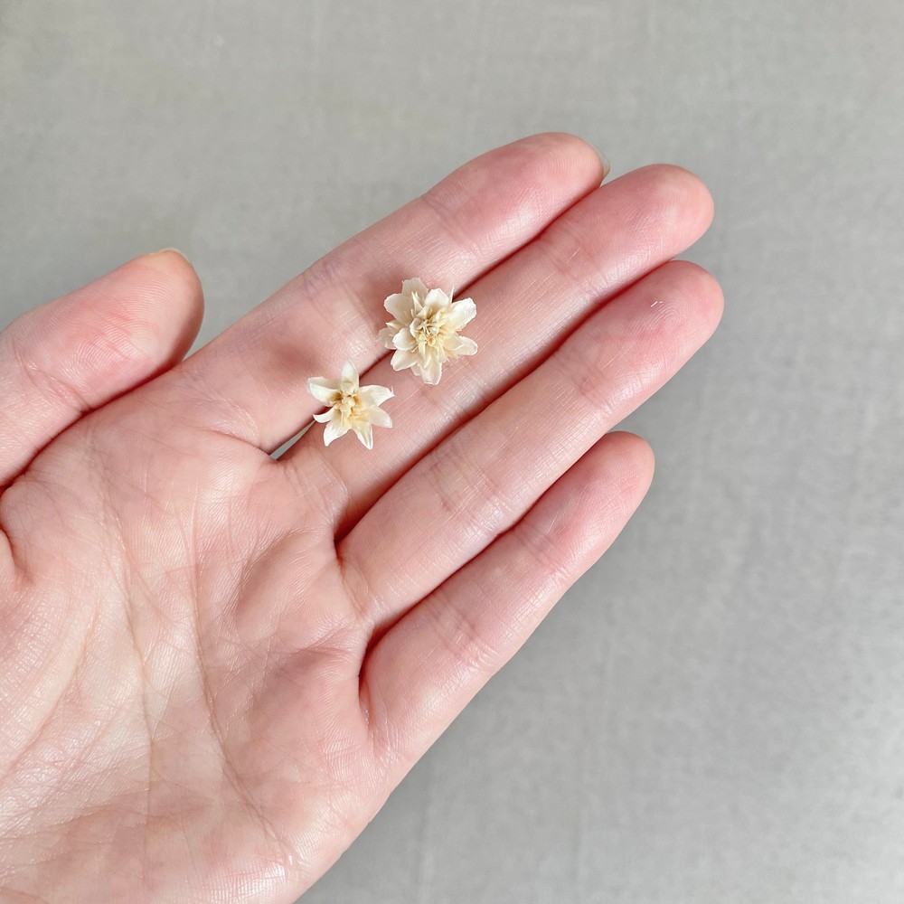 即日☆【ドライ】大地農園/ミニコーンフラワー 20g オフホワイト/30200