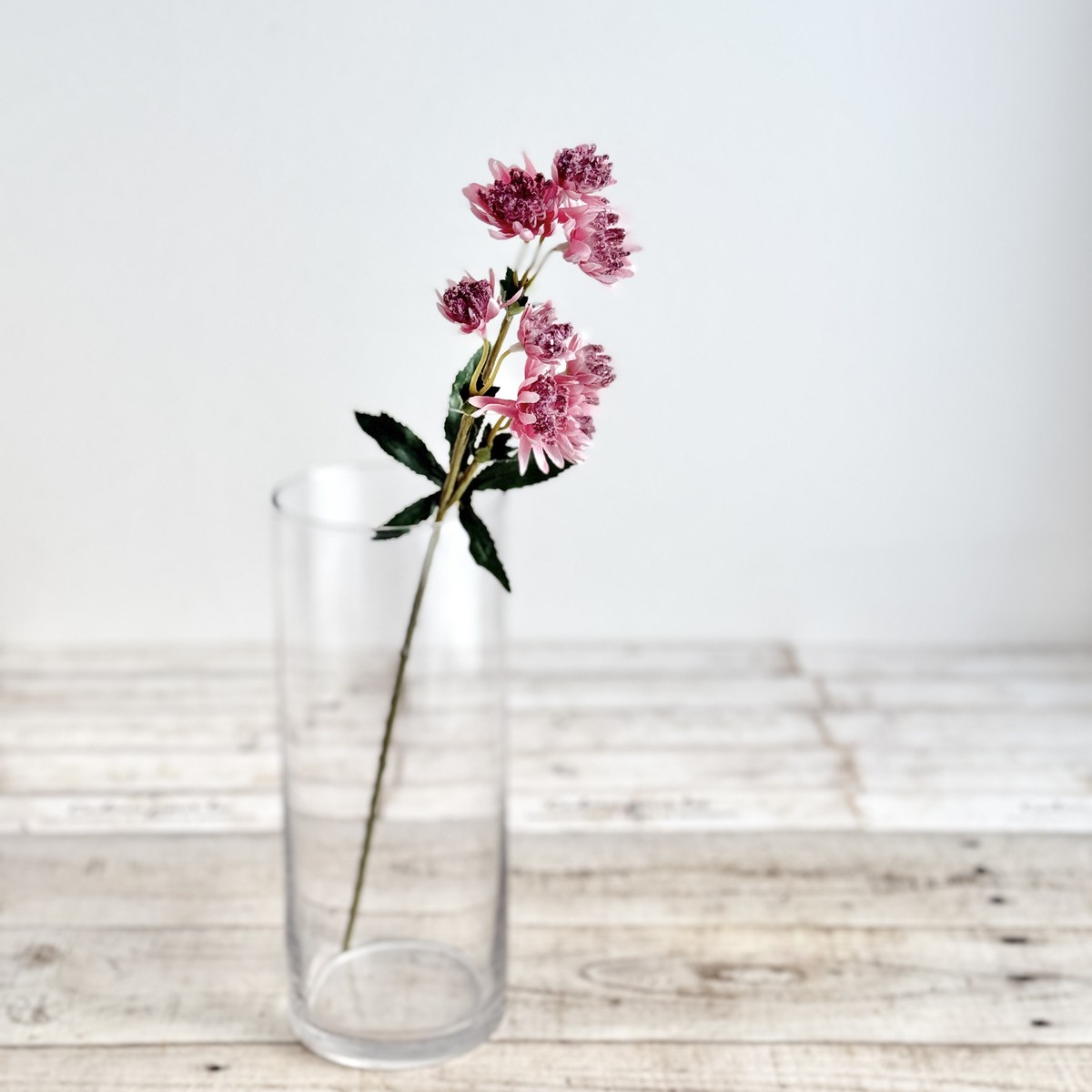 即日☆【造花】YDM/コンフォートアストランチア ライトピンク/FD-0131L