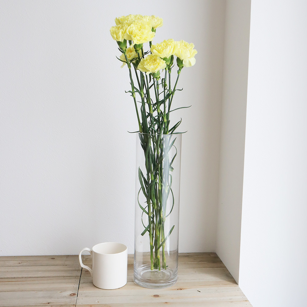 N直前!!】カーネーション(黄色)コロンビア産 エルメスなど【生花