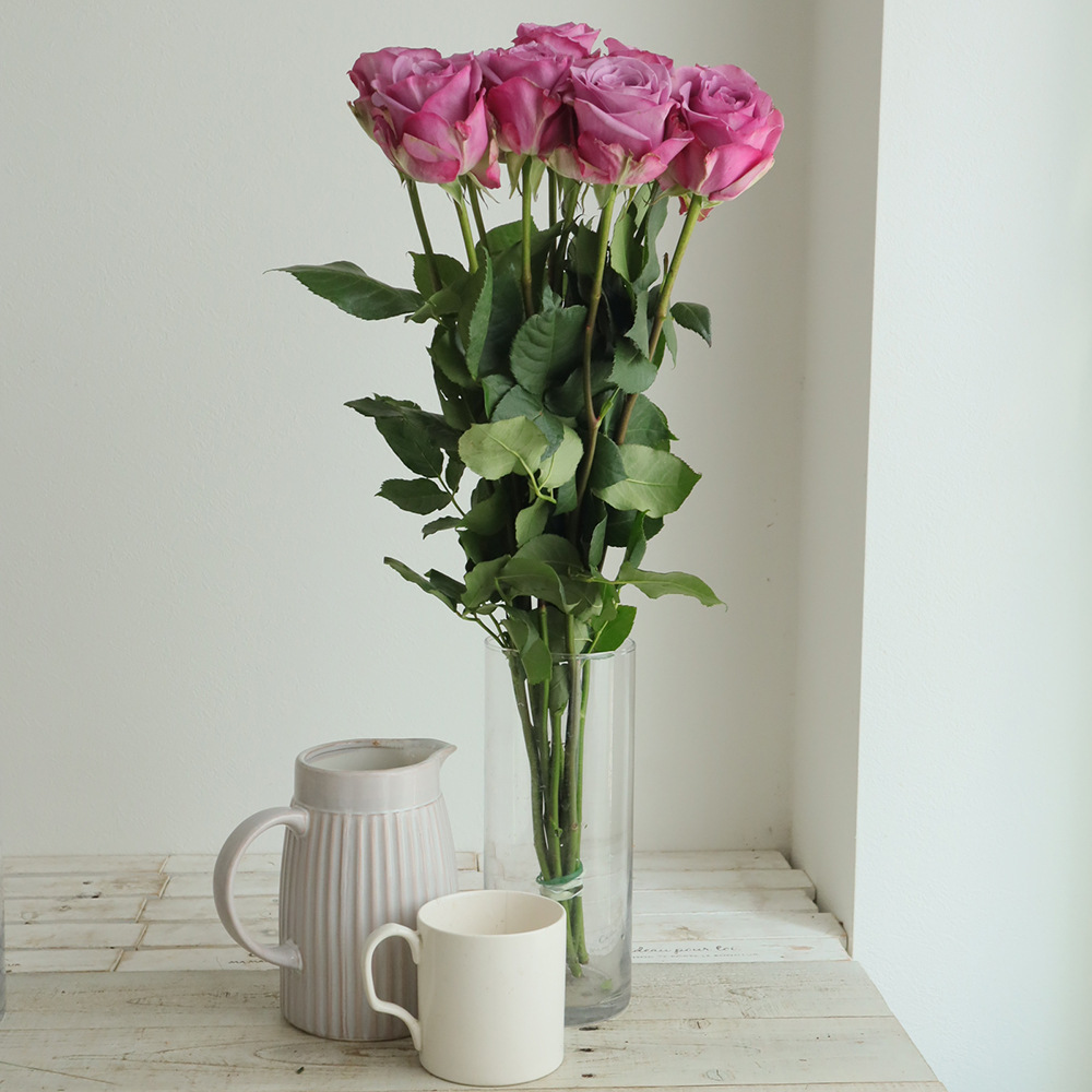 生花/予約】大輪エクアドルローズ(パープル) ムーディーブルースなど