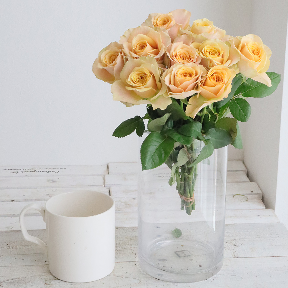 08直前!】バラ サウザンドマイルズ 30cm 堀木園芸 - 花材通販はなどん