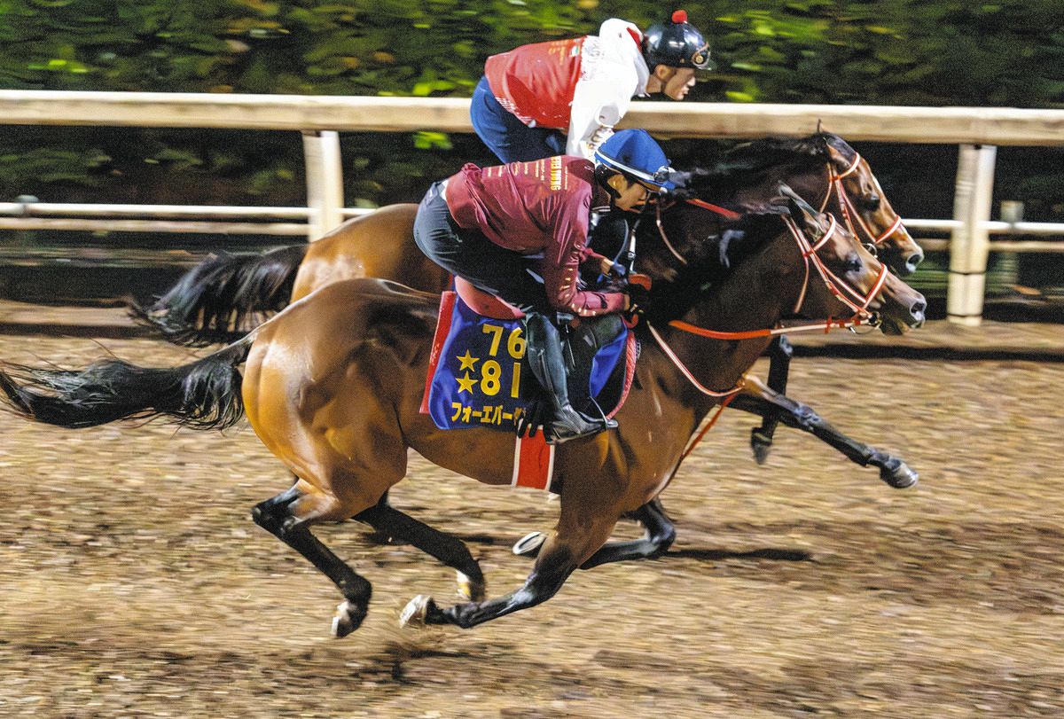 JRA賞】年度代表馬に、昨年JRAで出走のなかったフォーエバーヤングが