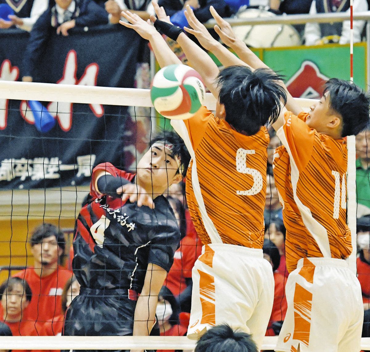 工大福井が全国出場！男子8年連続、女子5年連続 春高バレー県決勝：中