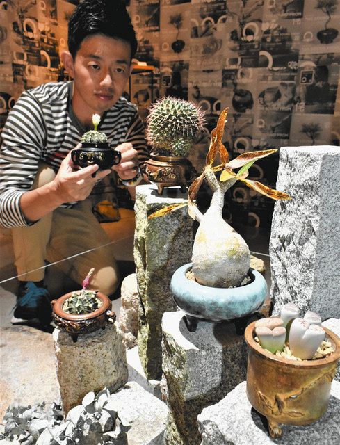 五彩金竜紋盤 中国美術 茶道具 香道具 装飾品 現代工芸品 美術品 置物